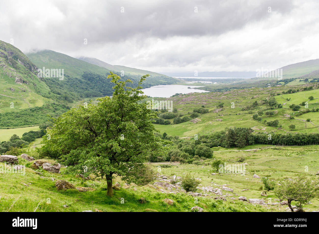 Gleninchaquin Park, Kenmare, Kerry, Irland. Stockfoto