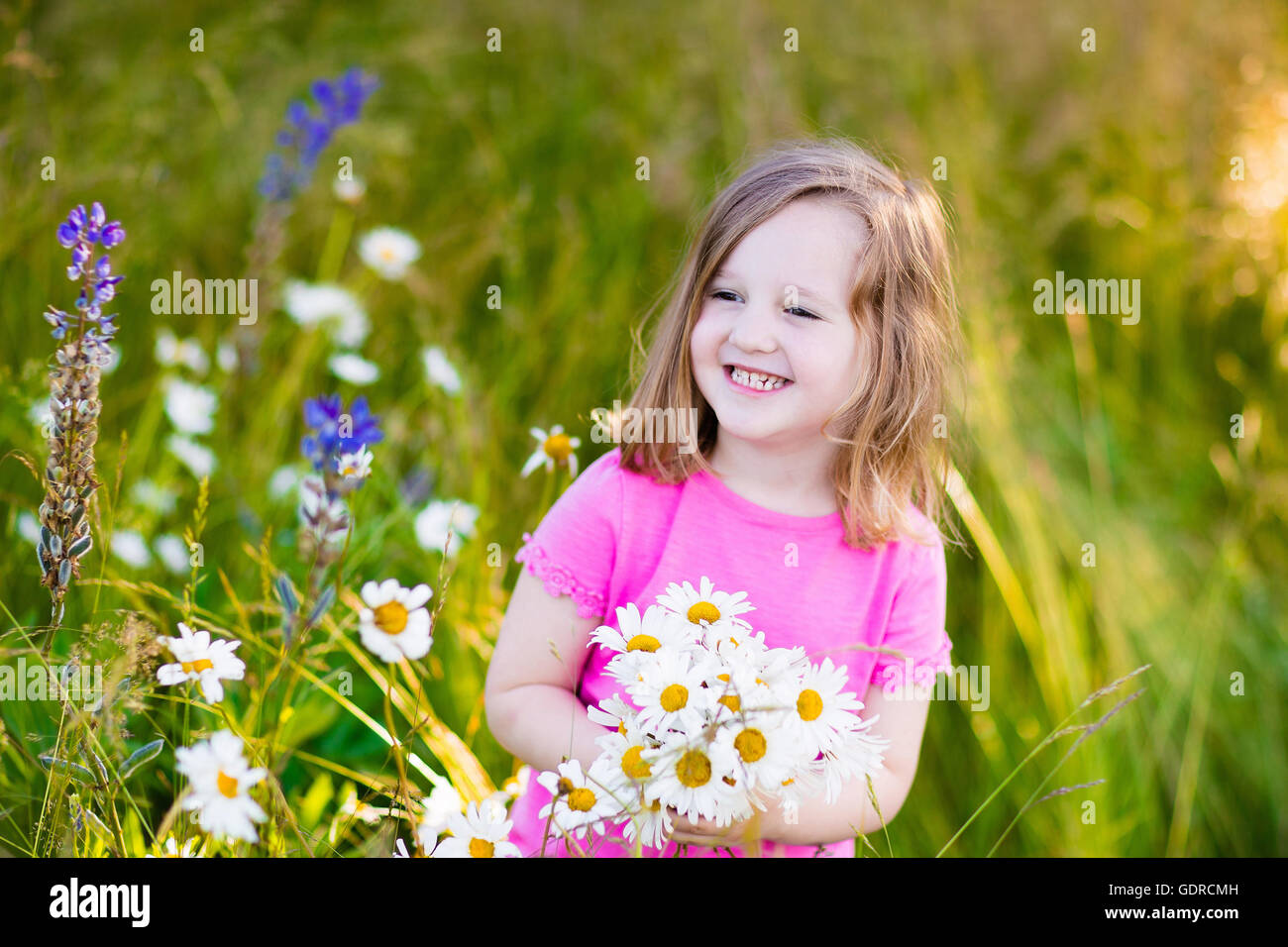 Kind, wilden Gänseblümchen Blumen zu pflücken, im Feld. Kinder spielen auf einer Wiese und pick Blumenstrauß auf Sommertag. Stockfoto