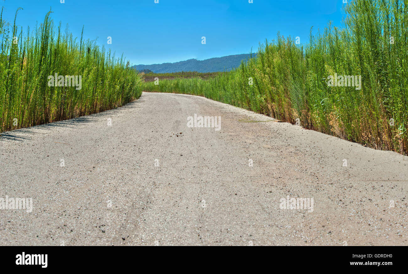 Gleich um die Ecke Stockfoto