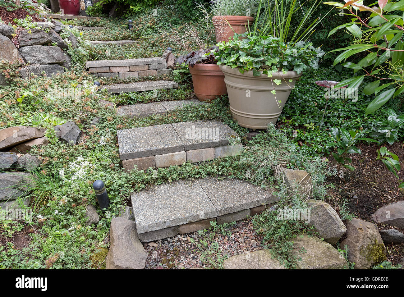 Zement-Steinstufen mit Topfpflanzen Bodendecker Pflanzen Felsen Ziegel Kies führt zu Garten Garten Stockfoto