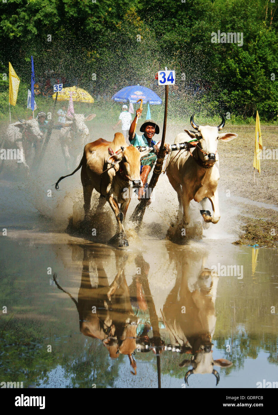 Sport Outdoor-Aktivität der vietnamesischen Bauer, Kuh Rasse, traditionelle Kultur-Festivals der Khmer Menschen Stockfoto