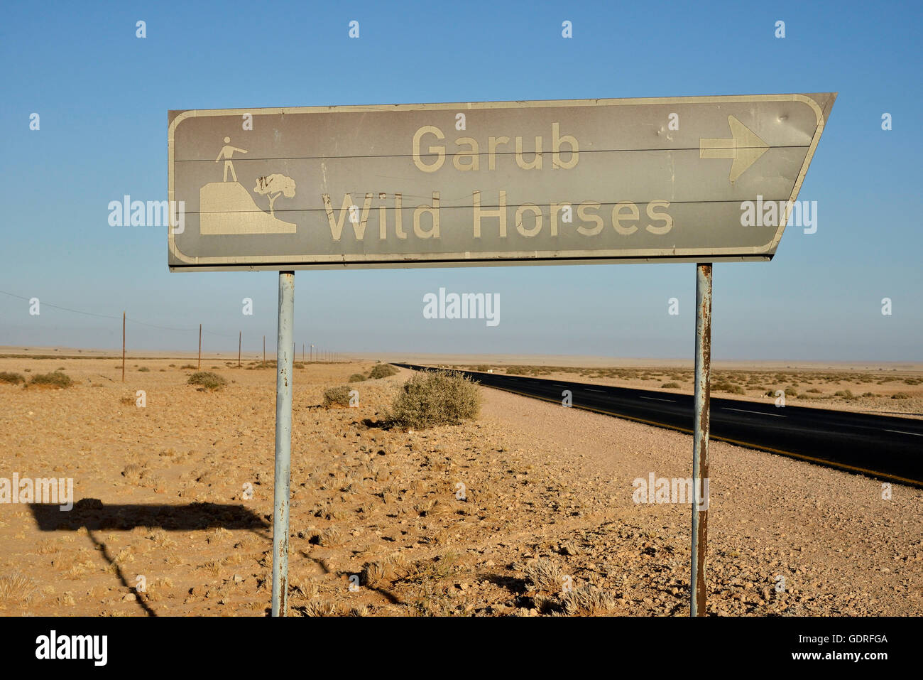Zeichen Wüste Pferde von Garub, Garub Wildpferde, in der Nähe Aus, Karas Region, Namibia Stockfoto