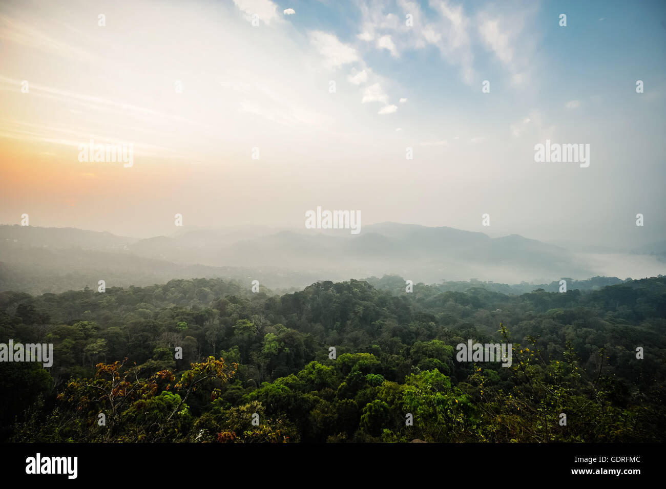 Tropische Dschungel, Sonnenaufgang in den Bergen in der Nähe von Munnar, Kerala, Südindien, Indien Stockfoto