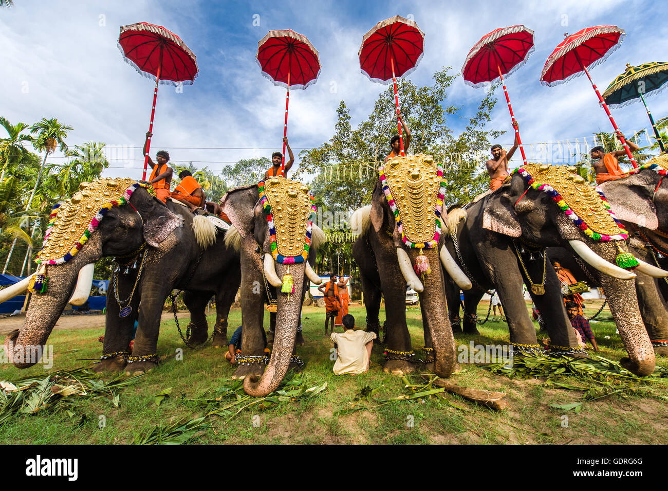 Hinduistische Tempelfest mit Elefanten, Thrissur, Kerala, Südindien, Indien Stockfoto