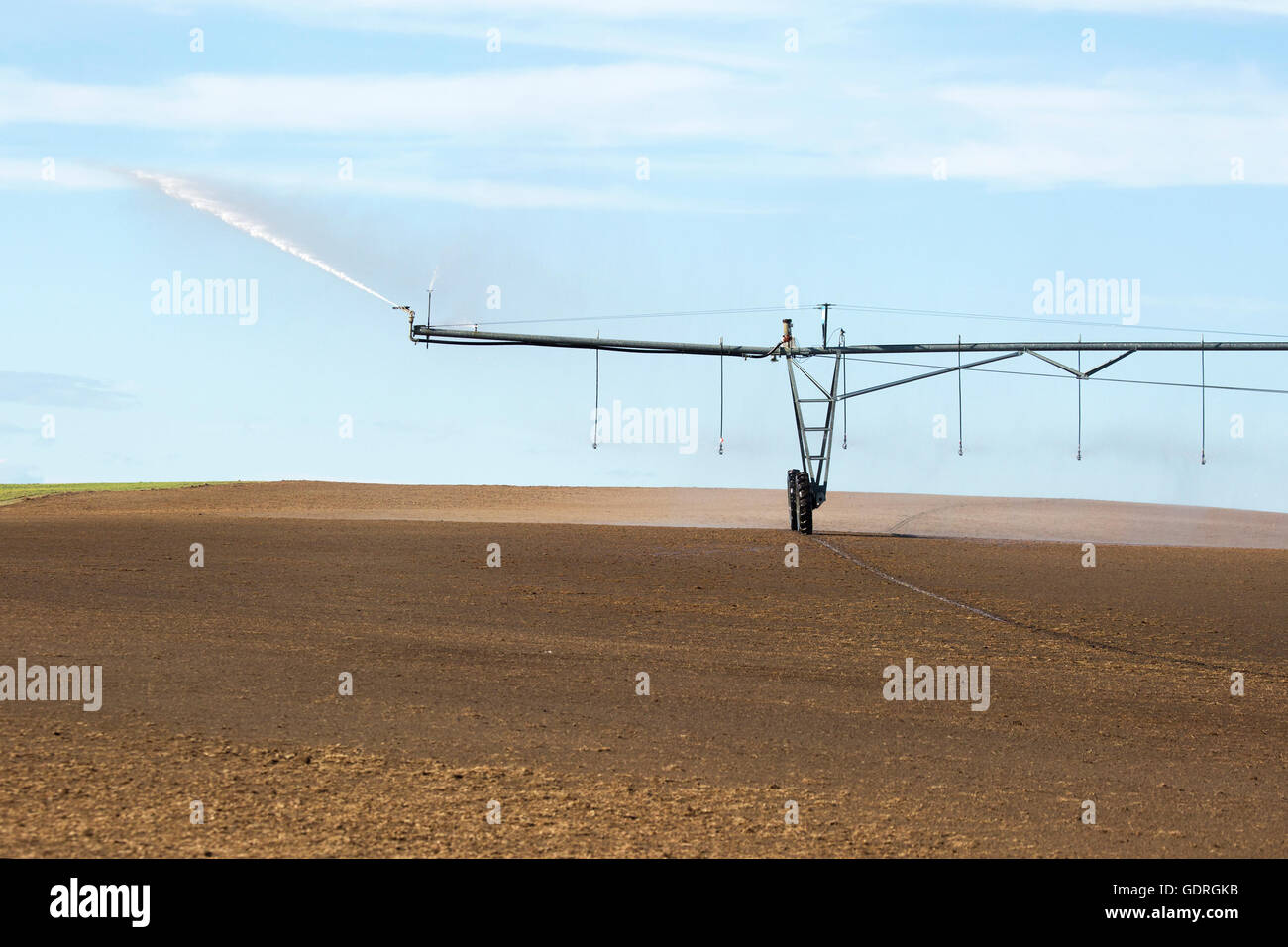 Pivot Bewässerungssystem auf einer kanadischen Präriefarm mit Dark Brown Chernozem Topsoil in Wheatland County, im Süden von Alberta, Kanada Stockfoto