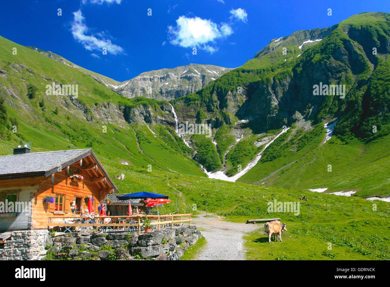 GeographieReisen, Deutschland, Bayern, Landschaften, Alpen, Dietersbachtal  in der Nähe von Oberstdorf, Dietersbachalpe, Rauheck,, No-Coffee -  Table-Book - Verwendung: Allgäu Stockfotografie - Alamy