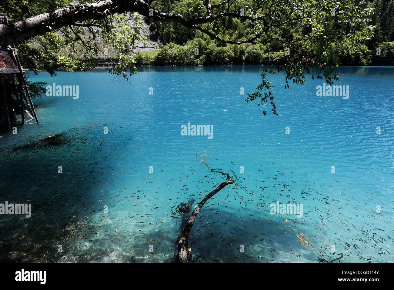 Gannan, Gannan, China. 12. Juli 2016. Gannan, China - 12. Juli 2016: (Nur zur redaktionellen Verwendung. CHINA aus) GÂ¨Â¡nnÂ¨Â ¢ n tibetischen autonomen Präfektur ist eine autonome Präfektur im Süden der Provinz Gansu, China. Freuen Sie sich auf Xiahe und Labrang Kloster, Luqu, Maqu, und anderen meist tibetischen Städten und Dörfern. Gannan hat eine Fläche von 40.898 km2 (15.791 Quadrat-Meile) und seine Hauptstadt ist Hezuo (Zoi). Im ersten Jahr der Ausrufung der autonomen Bezirk Gannan war die Kreisstadt an der Labrang Stadt Sangqu. © SIPA Asien/ZUMA Draht/Alamy Live-Nachrichten Stockfoto