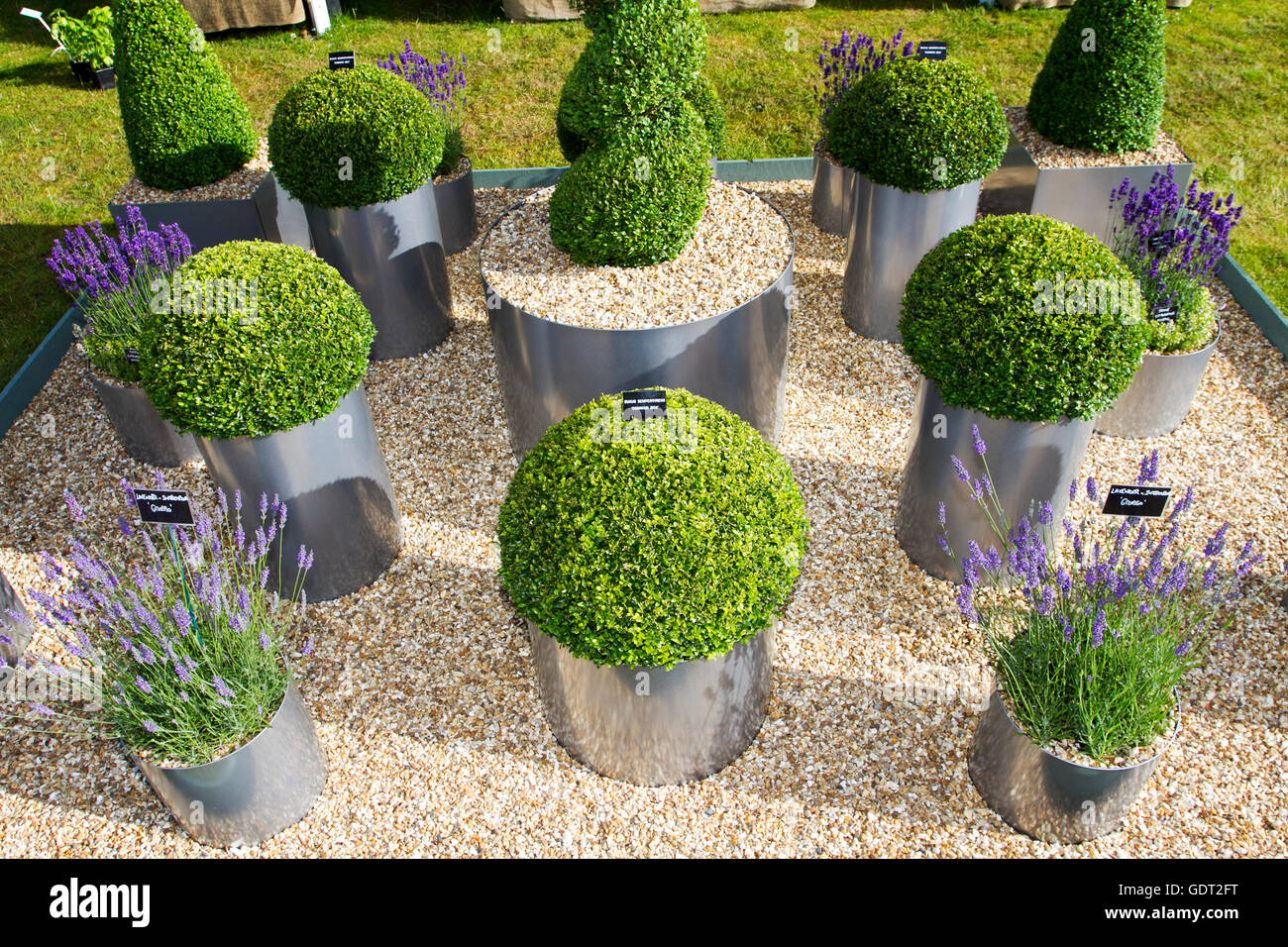 Getrimmt Containerpflanzen in Stahl Wirkung pots Tatton Park, Knutsford, Großbritannien. Die RHS Tatton Park Flower Show, der Norden größte Garten Veranstaltung in dem herrlichen Gelände von Cheshire von 1.000 Morgen Deer Park statt. Für fast ein Jahrzehnt Tatton Park hat junge Designer bot die einzigartige Gelegenheit, Design und eine Show design build zu helfen, ihre Gartenbau Karriere starten. Hunderte Aussteller ihre Gartengestaltung & Zubehör bis hin zu den tausend von Besuchern über die Veranstaltung erwartet. Credit: cernan Elias/Alamy leben Nachrichten Stockfoto