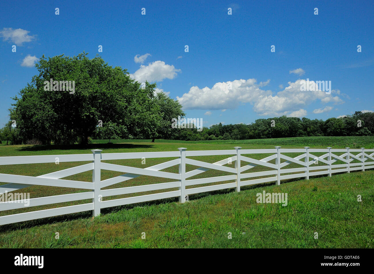 Neuer Zaun entlang Weide. Stockfoto