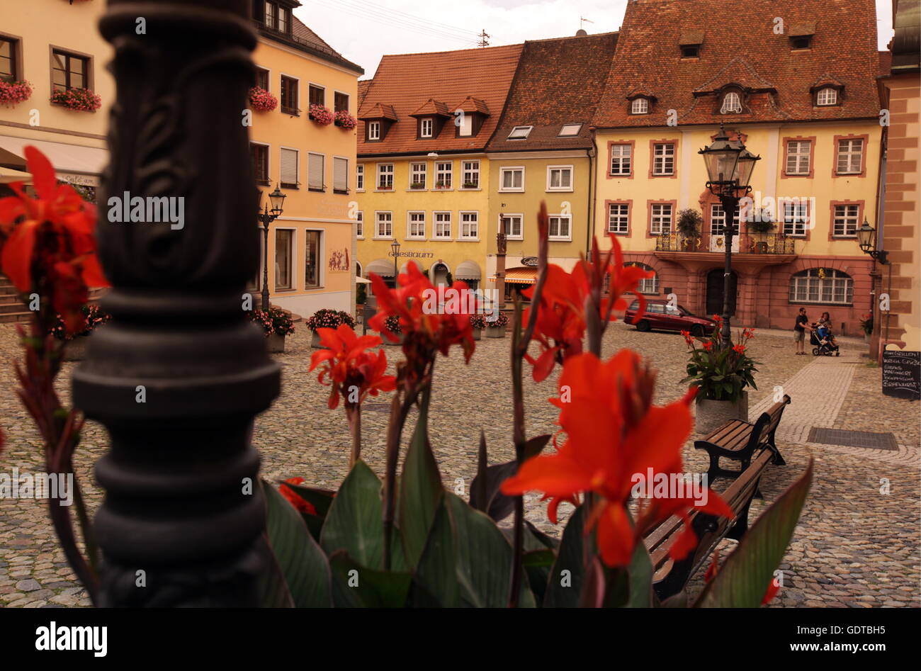Das Dorf Endingen Im Kaiserstuhl in den Schwarzwald im Süden von Deutschland in Europa. Stockfoto