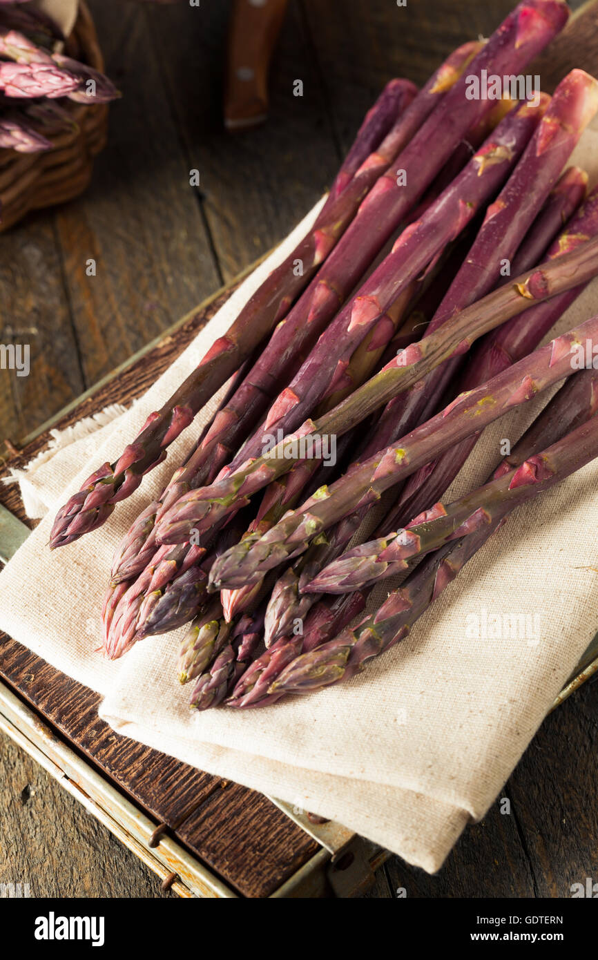 Rohe organische violetten Spargel Spears bereit zum Kochen Stockfotografie  - Alamy