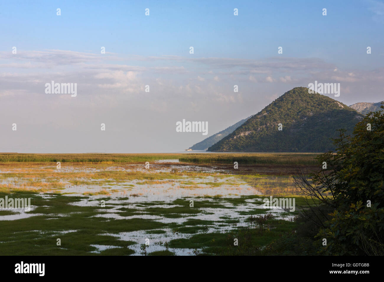 Skutarisee von Virpazar, Montenegro Stockfoto