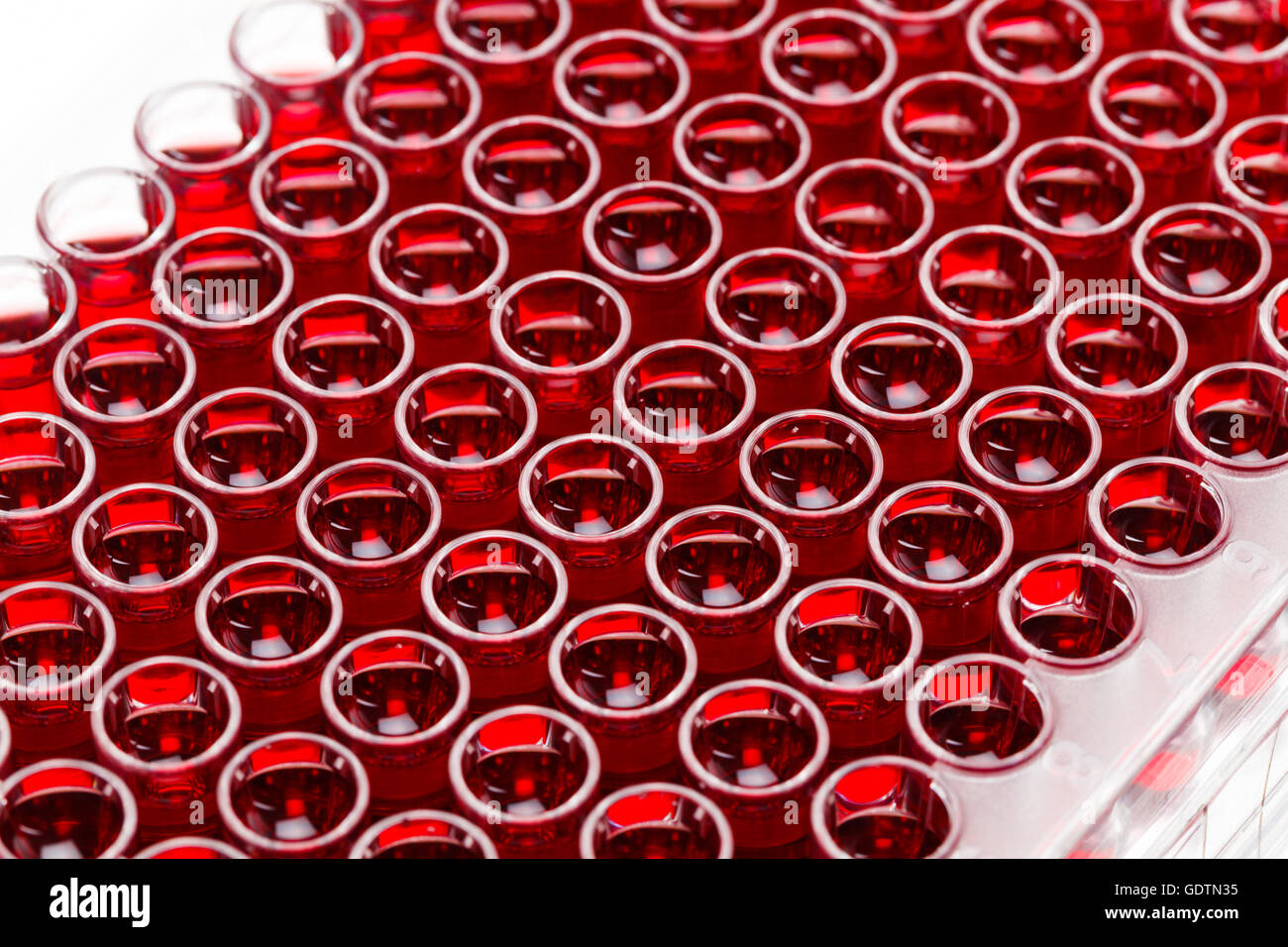 Test-Röhren mit roter Flüssigkeit, es ist möglich Blut Stockfoto