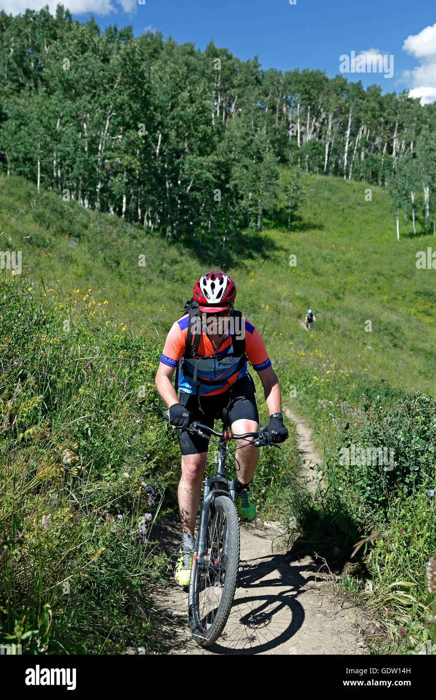 Mountainbiker auf Trail in der Nähe von Crested Butte, Colorado USA Stockfoto