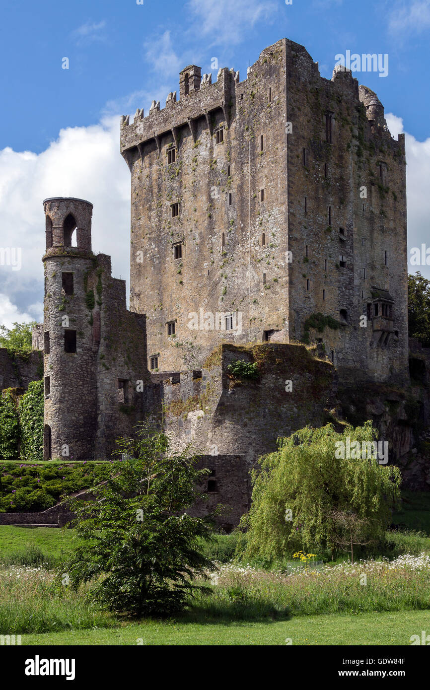 Blarney Castle ist eine mittelalterliche Festung in Blarney, in der Nähe von Cork, Irland. Stockfoto