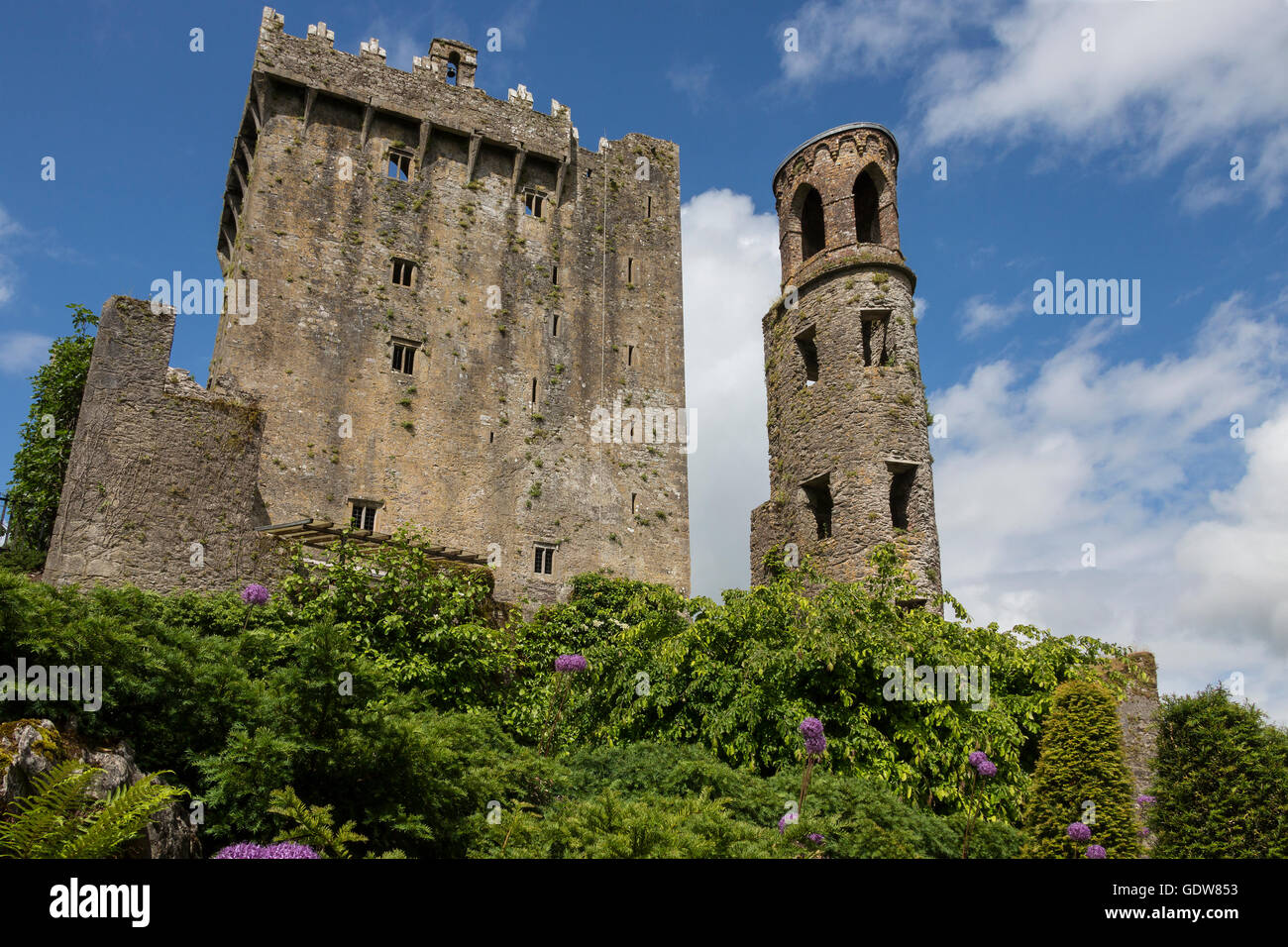 Blarney Castle ist eine mittelalterliche Festung in Blarney, in der Nähe von Cork, Irland. Stockfoto