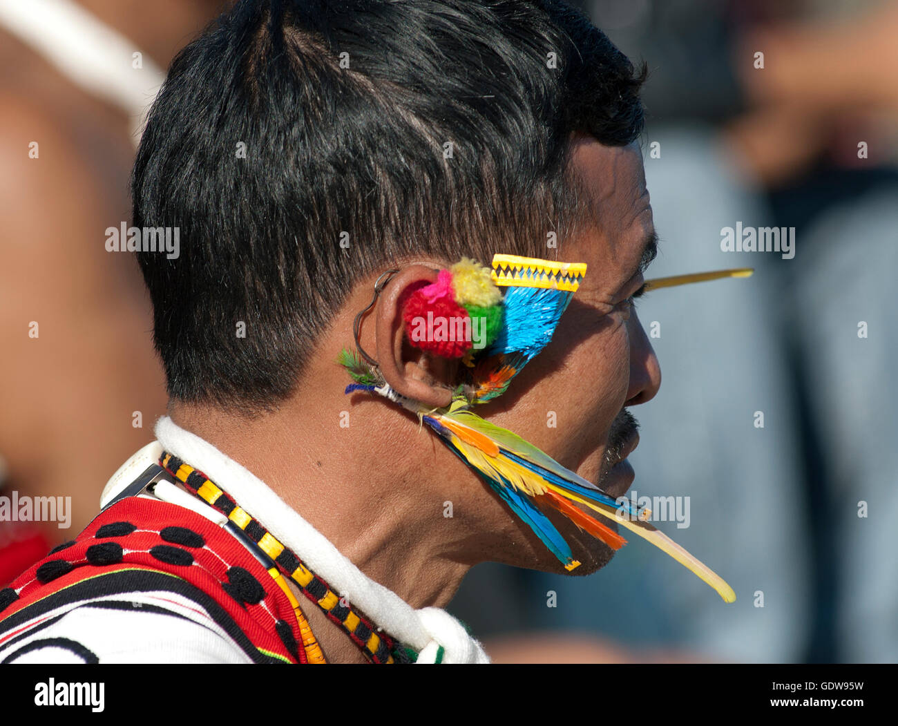 Das Bild der Zeliang Naga Mann Hornbill Festival, Nagaland, Indien Stockfoto