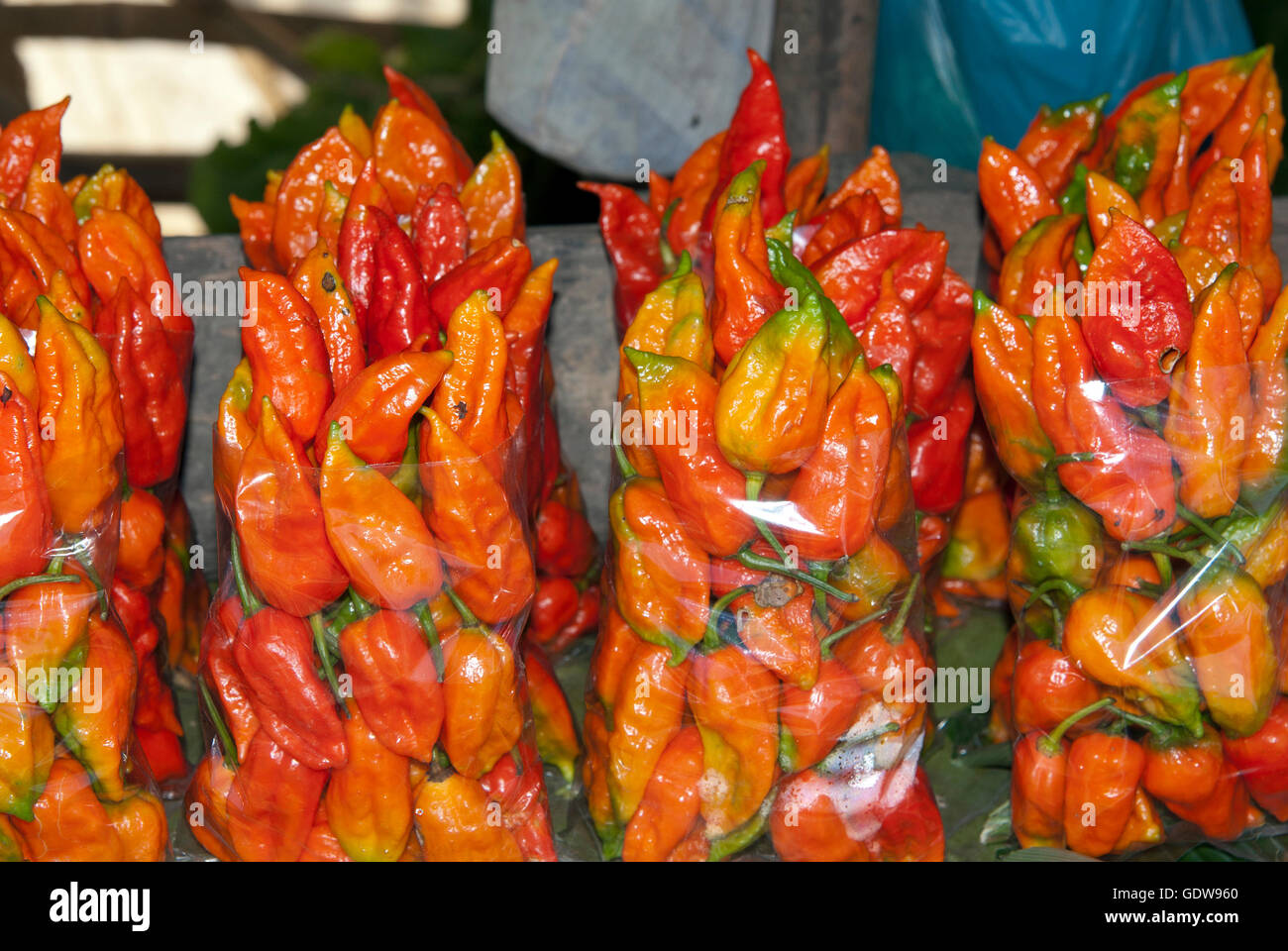 Das Bild der Naga Chilis oder Bhut Jolokia in Kohima Markt, Nagaland, Indien Stockfoto