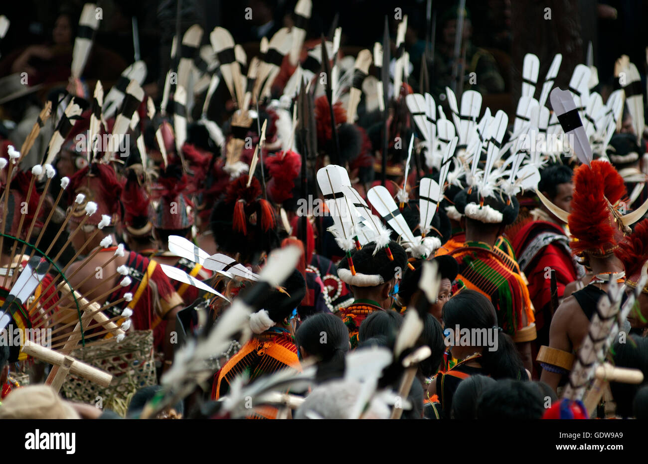 Das Bild der Naga Stammes Herren Kopfbedeckungen beim Horbill Festival, Nagaland, Indien Stockfoto