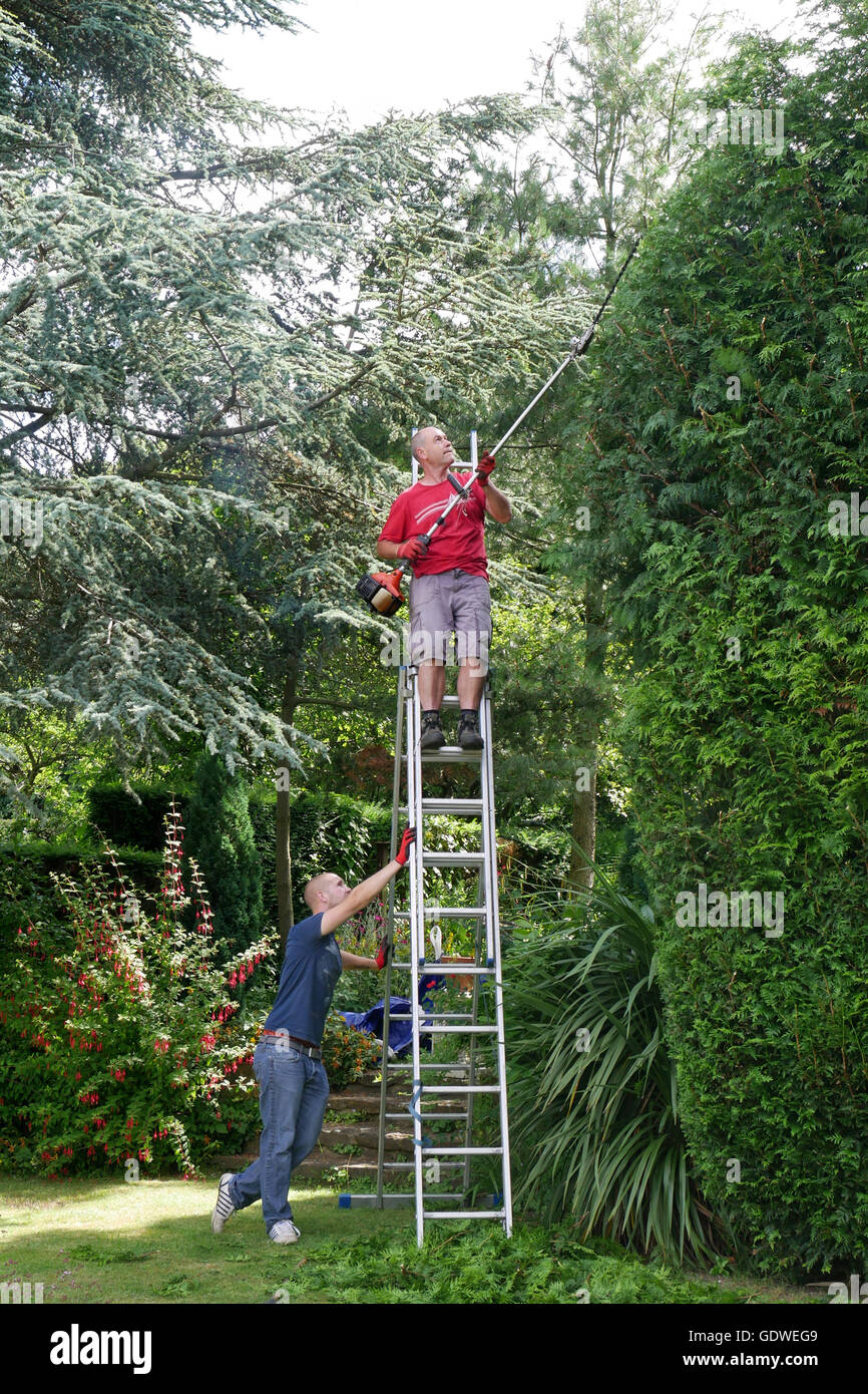 Man eine Leiter stabil zu halten, während ein anderer Mann eine sehr hohe Hecke im englischen Garten stutzt. Stockfoto