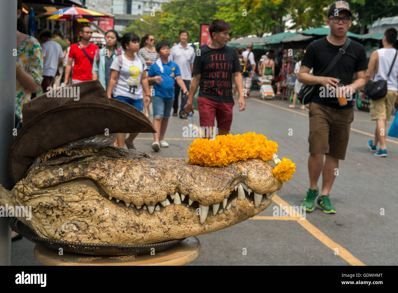 ein Krokodil Leder Shop bei den Chatuchak Weekend Market in der Stadt von Bangkok in Thailand in Südostasien. Stockfoto