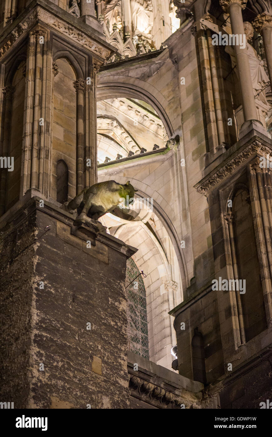 Kathedrale Notre-Dame von Reims in der Nacht, Frankreich Stockfoto