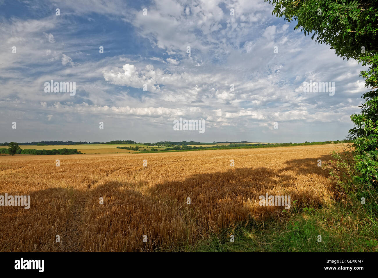 Blick über das Ackerland der Lincolnshire Wolds, UK, im Sommer Stockfoto