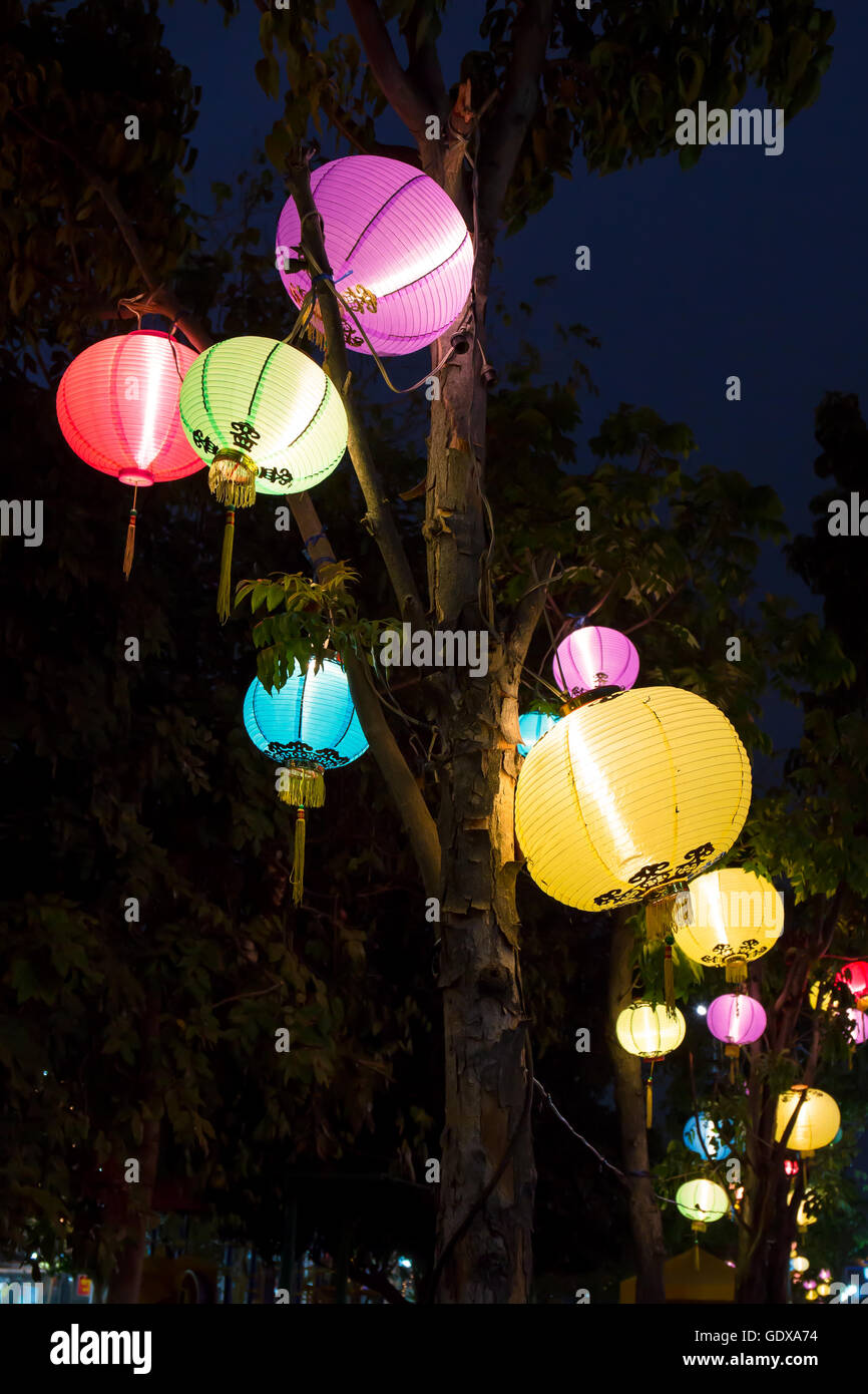 schöne Multi Farbe chinesische Laterne ist bunt auf Baum, frohes neues Jahr Stockfoto
