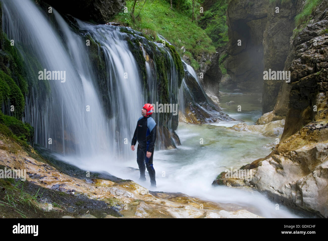 Wasserfall im Nationalpark Kalk Alpen, Entscheidung, Österreich Stockfoto