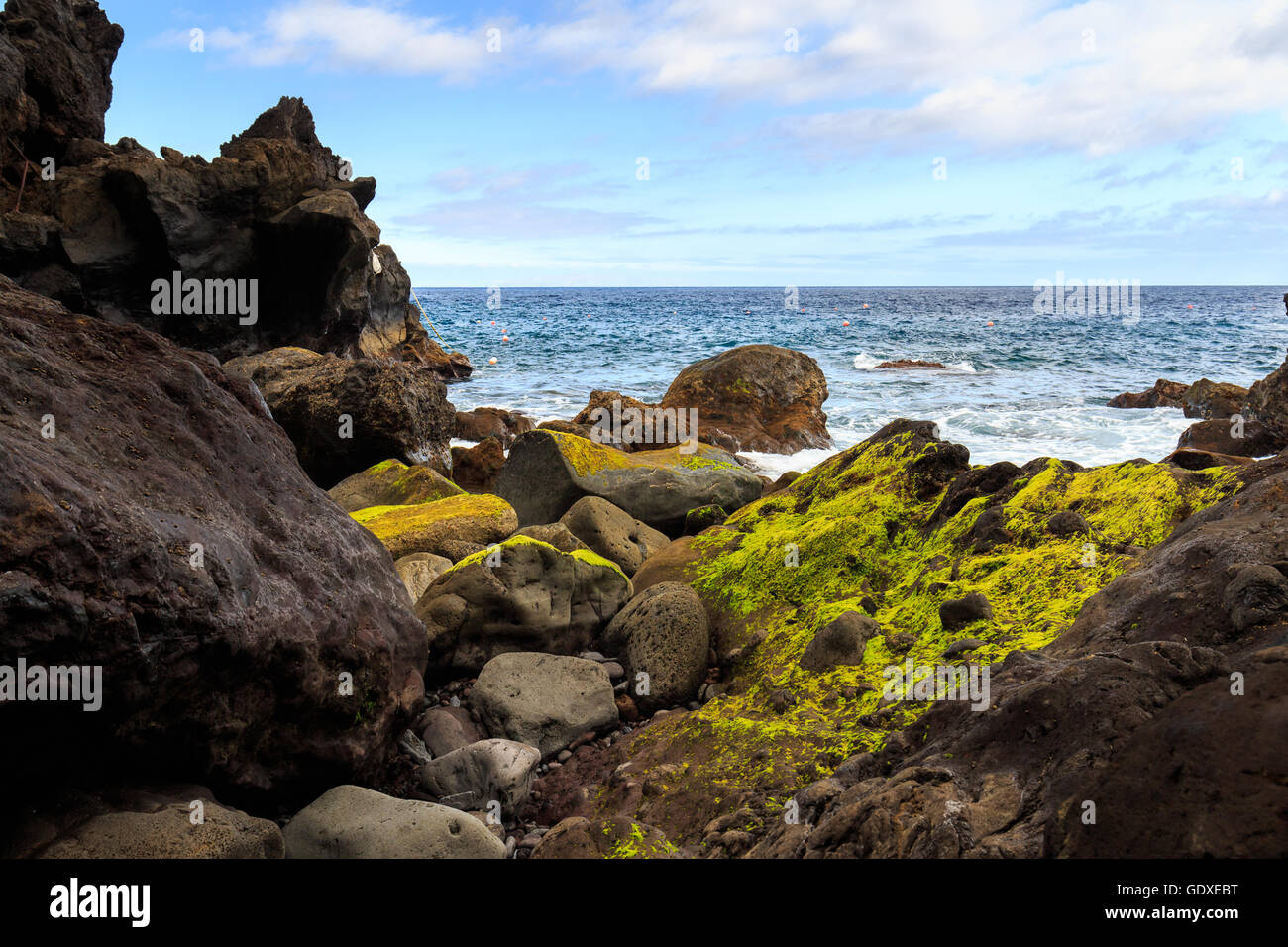 Moos-Stein und Meer auf der Insel Madeira, Portugal Stockfoto