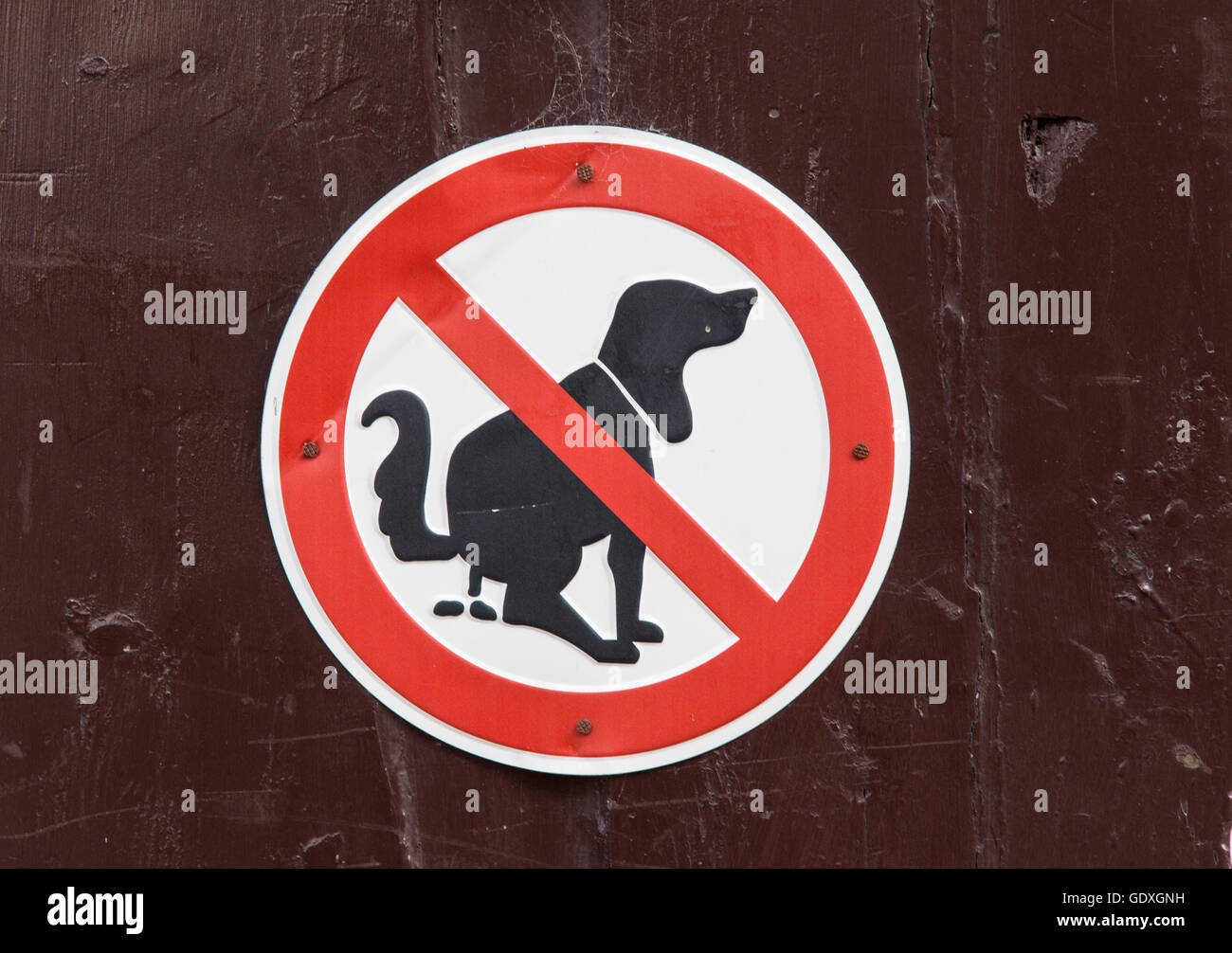 Verbotszeichen für Hundebesitzer in Goslar, Deutschland, 2014 Stockfoto