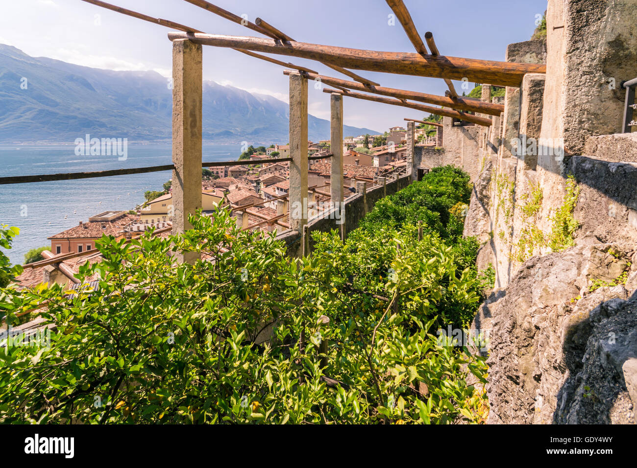 Alten Limonaia in Limone Sul Garda, Gardasee, Italien. Stockfoto