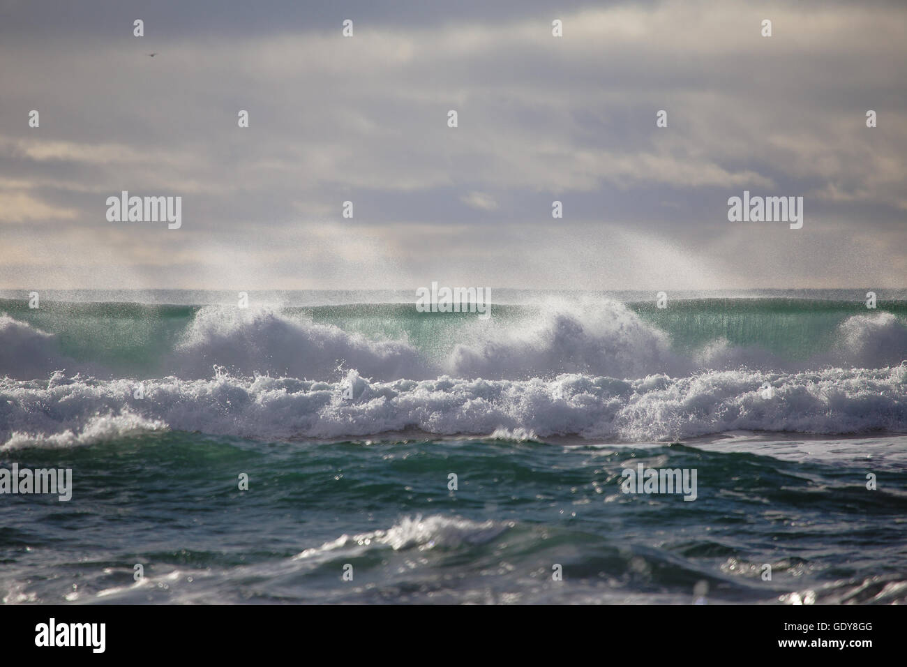Wellen des Atlantischen Ozean stürzt auf einem isländischen Strand nach einem Sturm Stockfoto