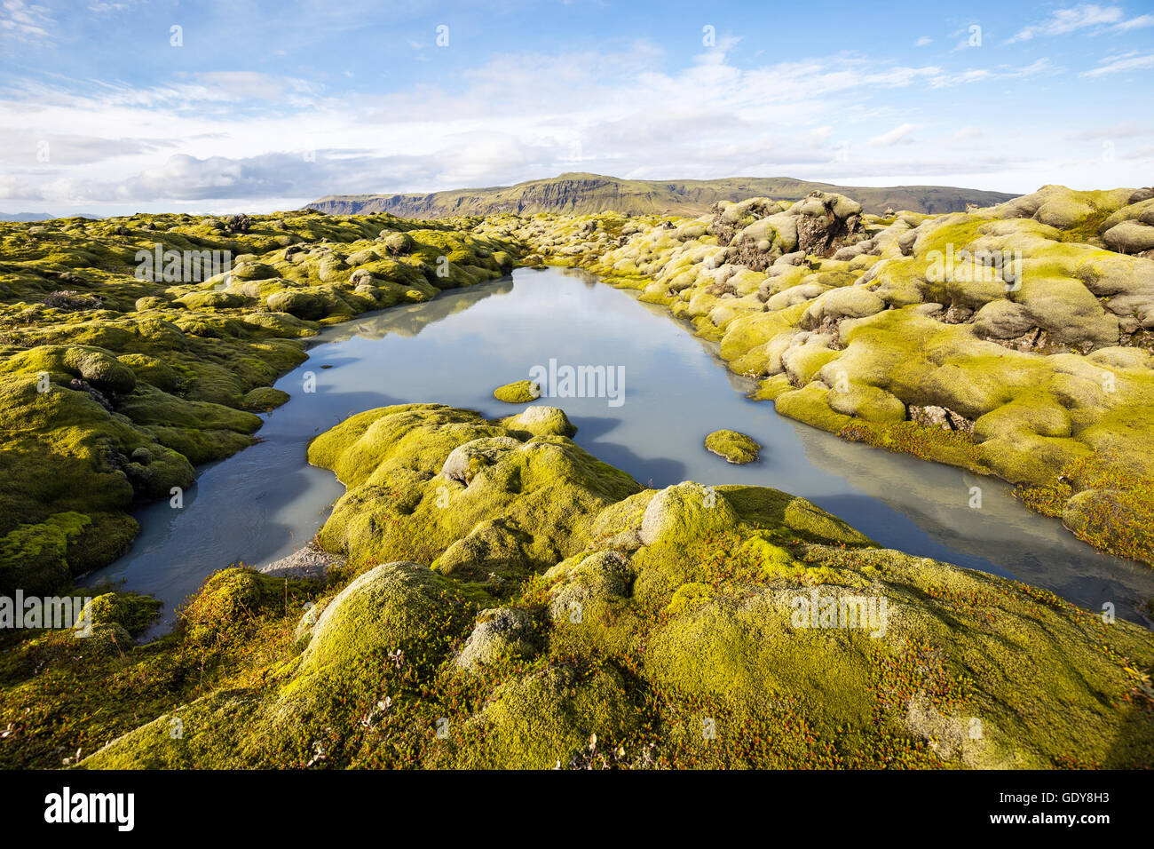 Moos gewachsen Lavafeld im Süden Islands mit einem kleinen Bach fließt durch sie. Stockfoto