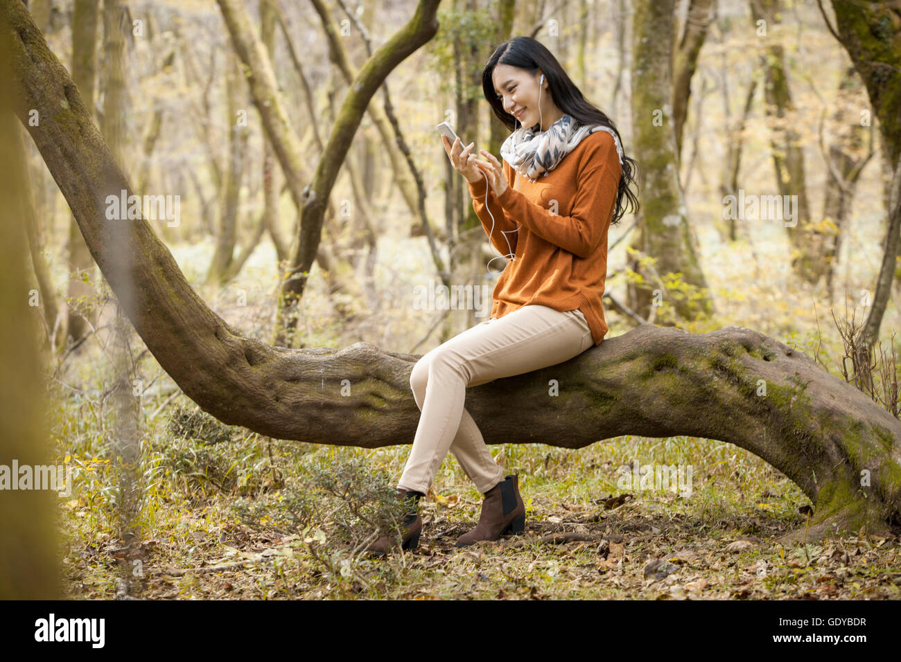 Seitenansicht des jungen lächelnde Frau sitzt auf einem Ast Musikhören im Wald im Herbst Stockfoto