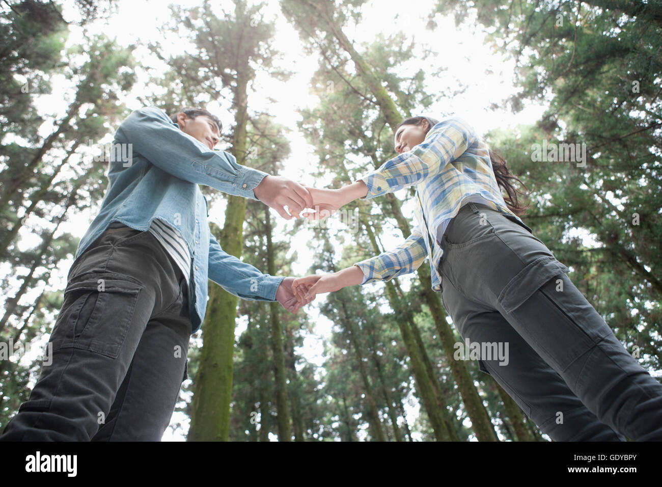 Niedrigen Winkel Seitenansicht des jungen Paares stehen Hand in Hand von Angesicht zu Angesicht im Wald Stockfoto