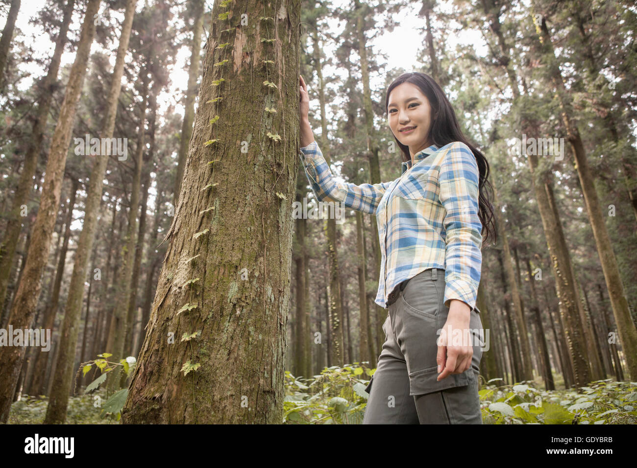 Niedrigen Winkel Seitenansicht der junge lächelnde Frau berühren ein Baum im Wald Stockfoto