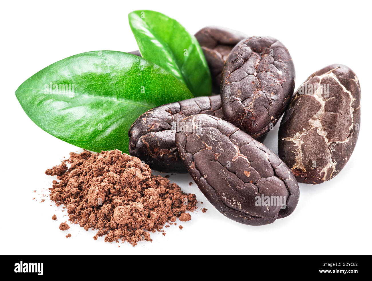 Kakaobohnen isoliert auf einem weißen Hintergrund. Stockfoto