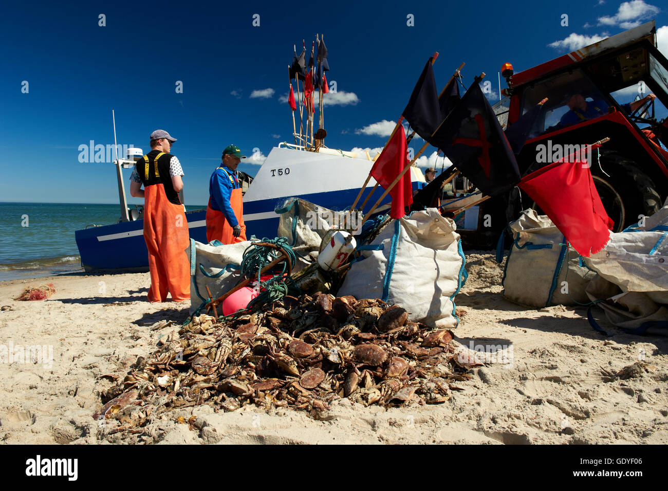 Ein kleines Fischerboot nähert sich und landen am Strand von Nr. Vorupoer (Nr. Vorupør), Jütland, Dänemark Stockfoto