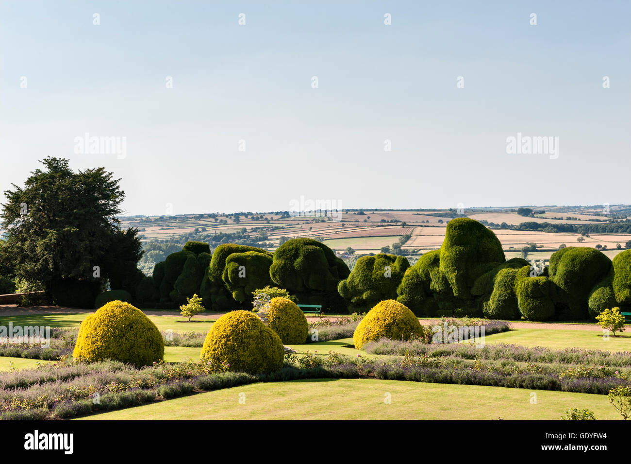 Rockingham Castle, Corby, Northamptonshire, UK. Die formale 17 C "Cross-Garten" mit der 400 Jahre alte Eibe 'Elephant Hedge' hinter Stockfoto