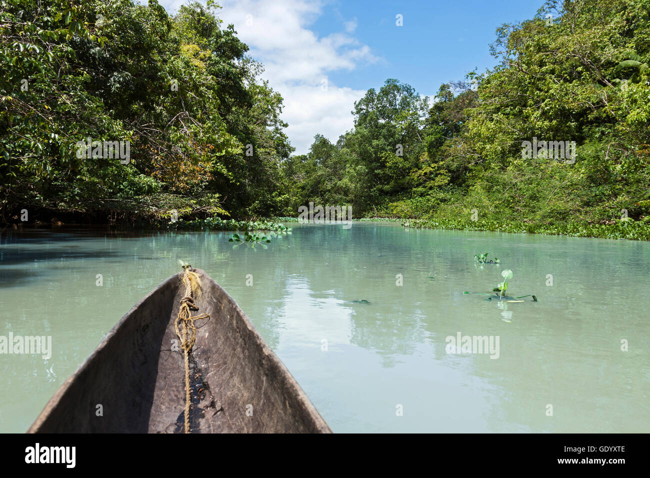 Blick auf den Fluss Boot Sicht, Fluss Orinoco, OrinokoDelta, Venezuela