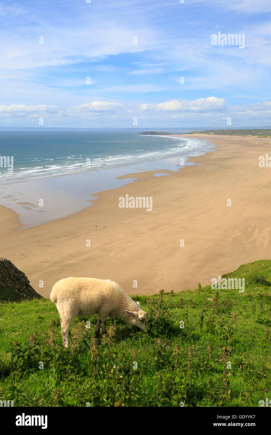 Rhossili Strand, der Gower-Halbinsel, Wales Stockfoto