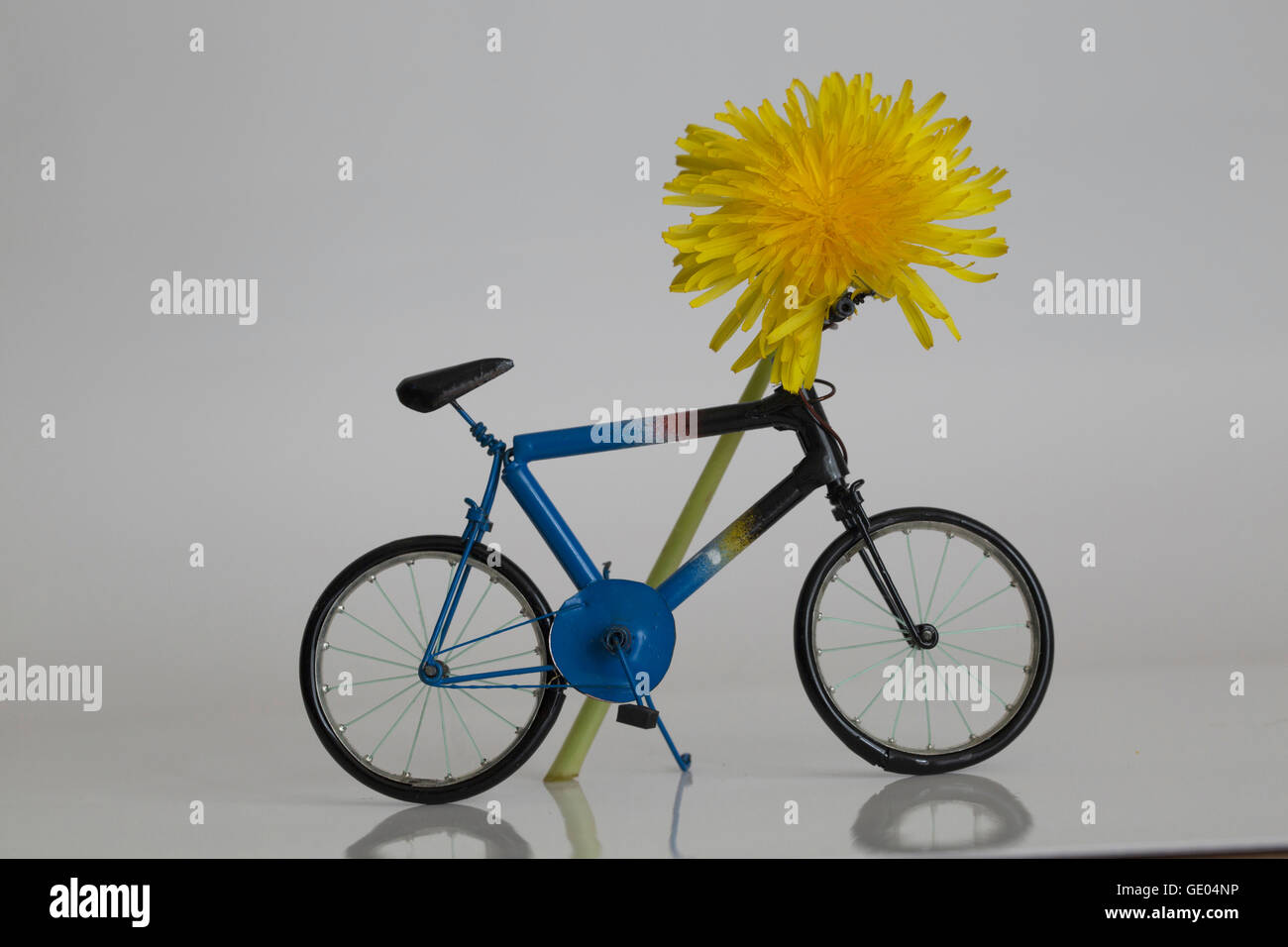 Nahaufnahme des Fahrrads mit Blume Stockfoto