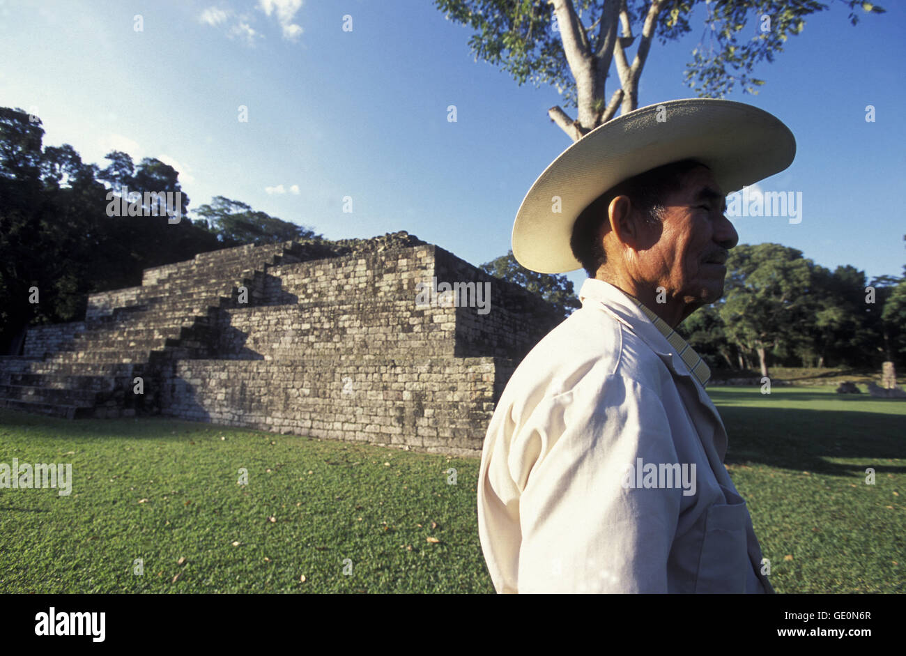 Die Ruinen von Copán in Honduras in Mittelamerika Stockfoto