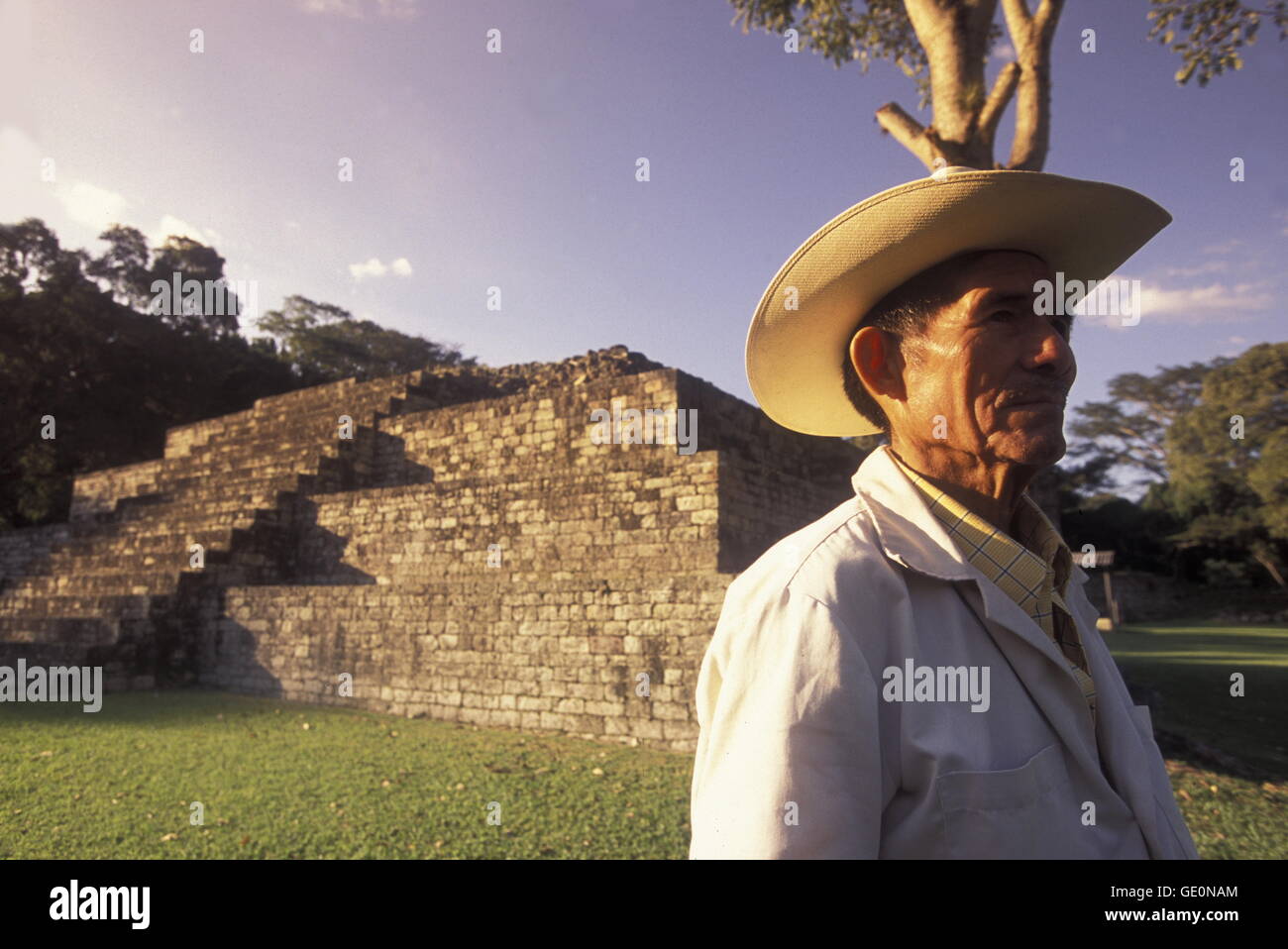 Die Ruinen von Copán in Honduras in Mittelamerika Stockfoto