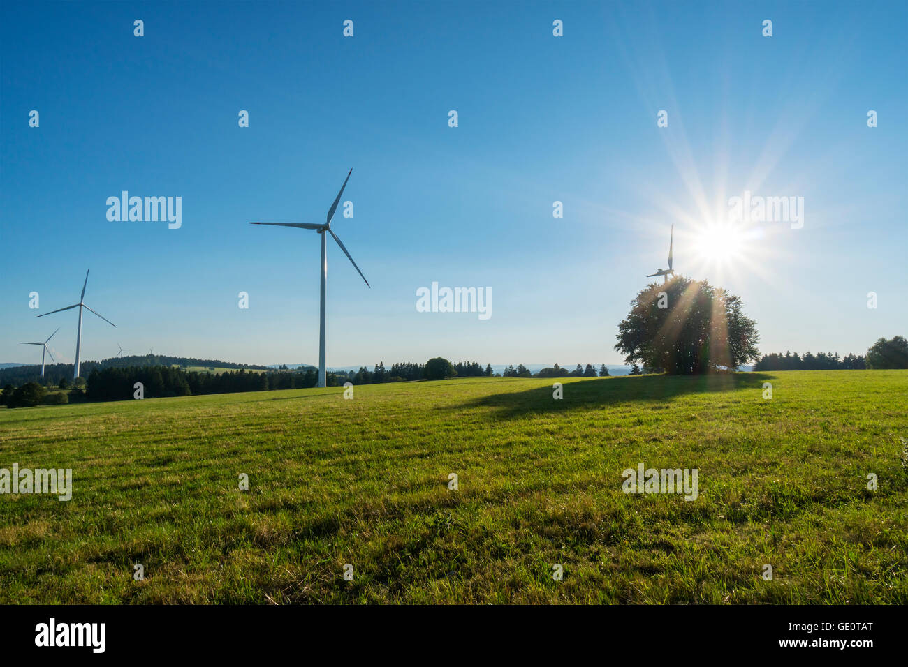 Windmühlen für ökologische und erneuerbare Energie Stromerzeugung Stockfoto
