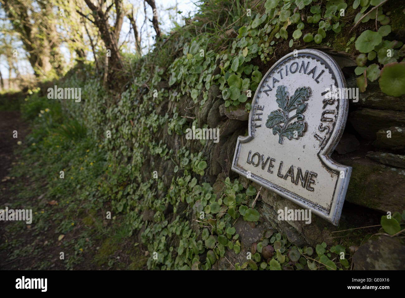 Liebe Spur Land verfolgen, Fowey, Cornwall, England, Vereinigtes Königreich, Europa Stockfoto