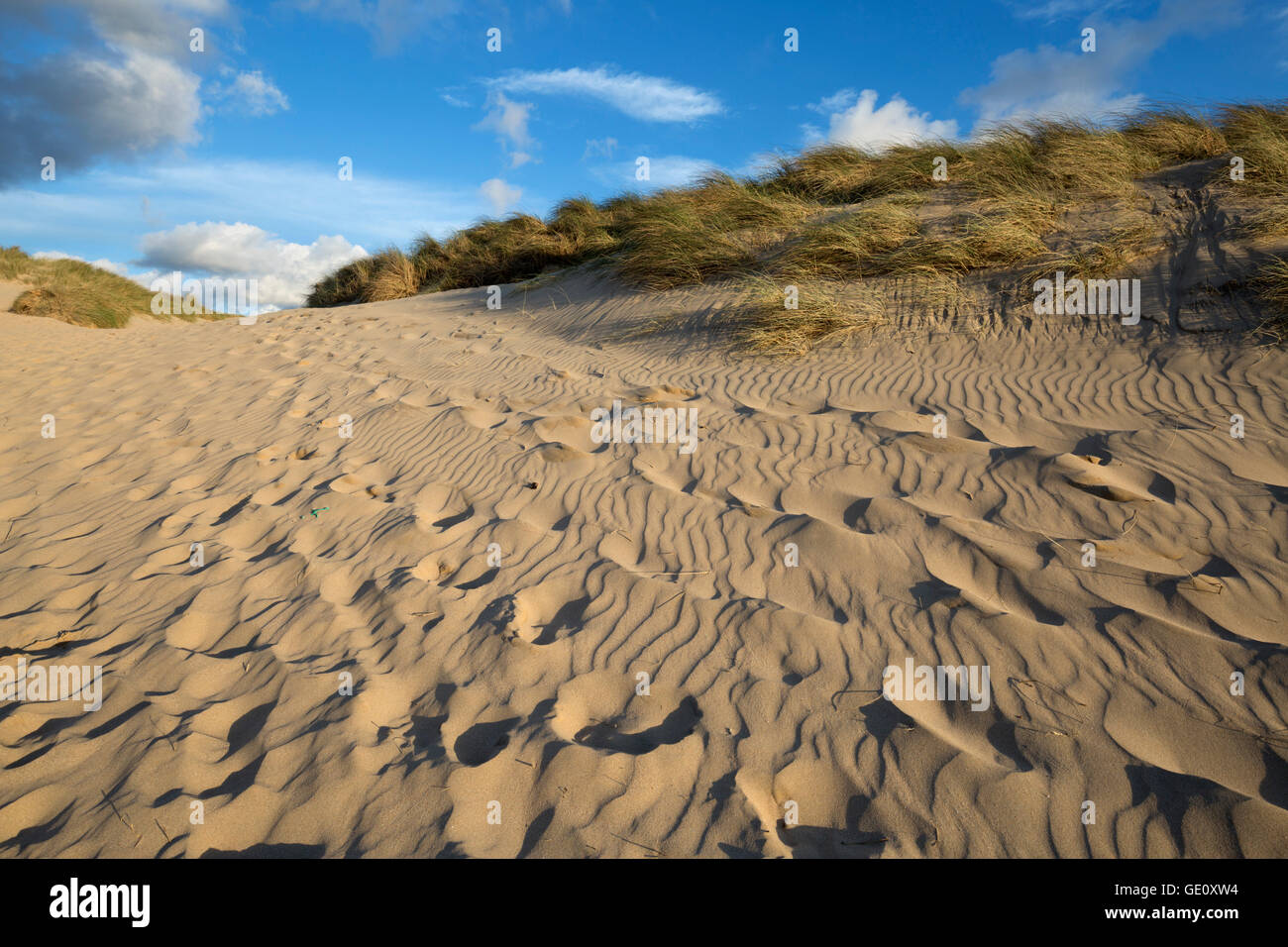 Fußspuren im Sand und Dünen, Crantock Beach Crantock, in der Nähe von Newquay, Cornwall, England, Vereinigtes Königreich, Europa Stockfoto