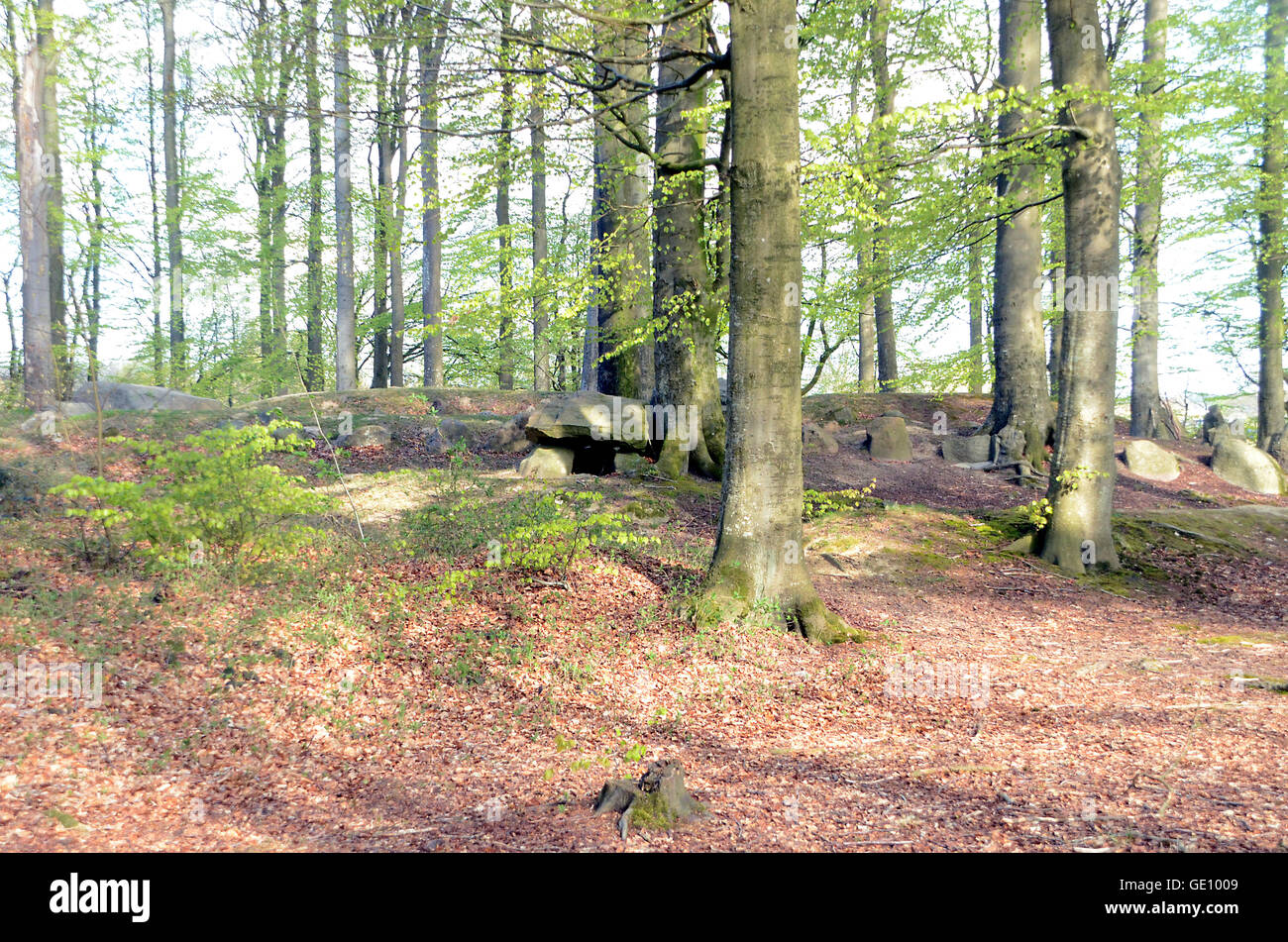 Die bronzezeitlichen Grabhügel bei Blomeskobbel in Dänemark. Sie tief im Wald zu verstecken, sondern erscheinen in einem guten Zustand. Stockfoto