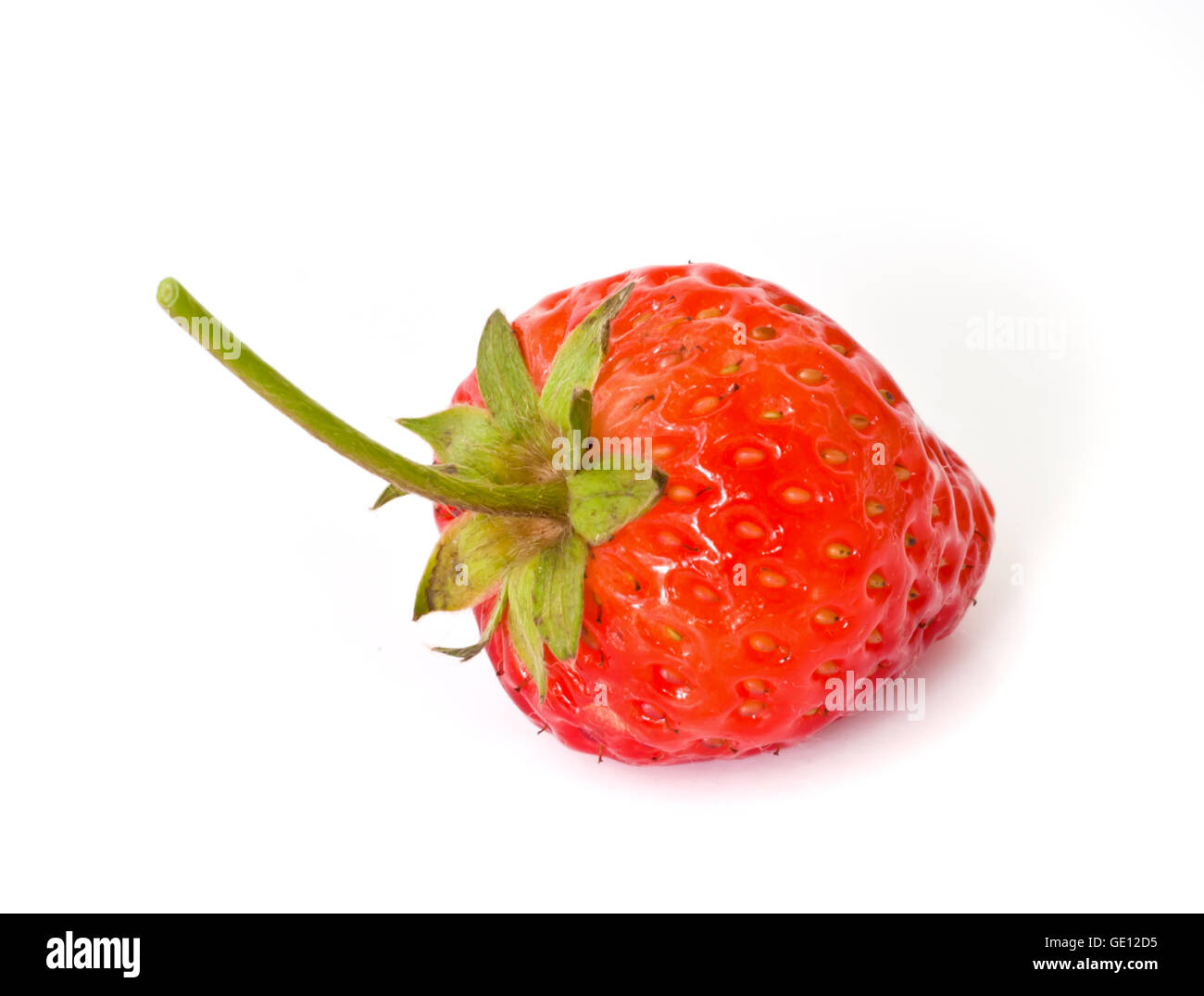 rote reife Erdbeeren auf weißem Hintergrund isoliert Stockfoto